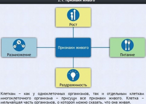 Интерактивные курсы. Биология 5 класс. Базовый - fgospostavki.ru - Нижний Новгород