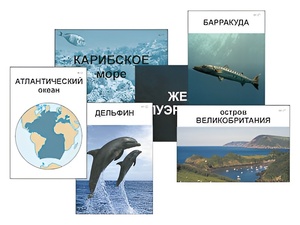 Модель-аппликация "Океаны. Знакомство" (ламинированная) - fgospostavki.ru - Нижний Новгород