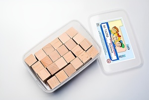 Игровой набор Фребеля "Кубики" (48 шт., бук, серия "Красота вокруг нас") - fgospostavki.ru - Нижний Новгород
