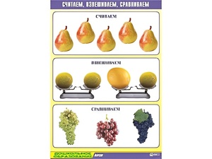 Таблица демонстрационная "Считаем, взвешиваем, сравниваем" (винил 70x100) - fgospostavki.ru - Нижний Новгород
