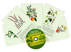 Интерактивный наглядный комплекс "Гербарий "Для начальной школы" - fgospostavki.ru - Нижний Новгород
