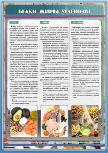 Стенд "Белки. Жиры. Углеводы" - fgospostavki.ru - Нижний Новгород