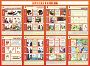 Стенд "Личная гигиена" - fgospostavki.ru - Нижний Новгород