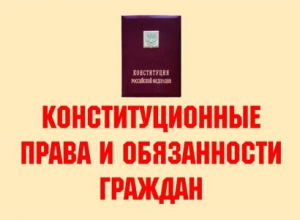 Комплект плакатов "Конституционные права и обязанности граждан" - fgospostavki.ru - Нижний Новгород