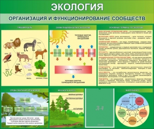 Стенд "Экология. Организация и функционирование сообществ" - fgospostavki.ru - Нижний Новгород