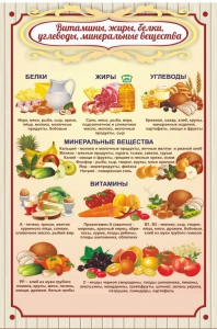 Стенд "Витамины, жиры, белки" - fgospostavki.ru - Нижний Новгород