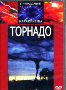 DVD "Торнадо" - fgospostavki.ru - Нижний Новгород