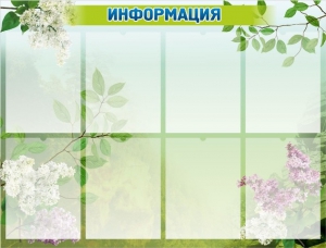 Стенд "Информация" Вариант 13 - fgospostavki.ru - Нижний Новгород
