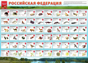 Стенд "Красная книга РФ" - fgospostavki.ru - Нижний Новгород