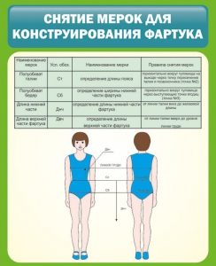 Стенд "Снятие мерок для конструирования фартука" - fgospostavki.ru - Нижний Новгород