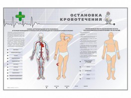 Электрифицированный стенд "Остановка кровотечения" - fgospostavki.ru - Нижний Новгород