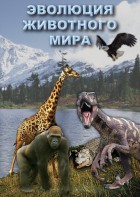 DVD "Эволюция животного мира" - fgospostavki.ru - Нижний Новгород