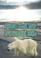 DVD "Животный мир Арктической зоны" - fgospostavki.ru - Нижний Новгород