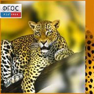 Зоология. (Цифровая база изображений) - fgospostavki.ru - Нижний Новгород