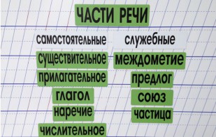 Набор магнитных карточек "Части речи" (фон зелёный) - fgospostavki.ru - Нижний Новгород