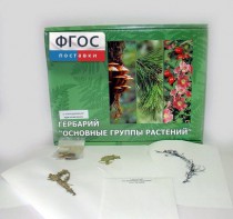 Гербарий "Основные группы растений" (52 листа) - fgospostavki.ru - Нижний Новгород