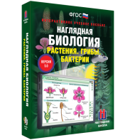 Наглядная биология. 6 класс. Растения. Грибы. Бактерии - fgospostavki.ru - Нижний Новгород