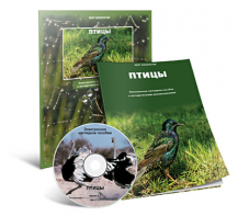 Электронное наглядное пособие «Птицы» - fgospostavki.ru - Нижний Новгород