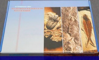 Коллекция "Палеонтологическая" (16 образцов) - fgospostavki.ru - Нижний Новгород