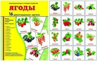 Демонстрационные карточки "Ягоды" - fgospostavki.ru - Нижний Новгород