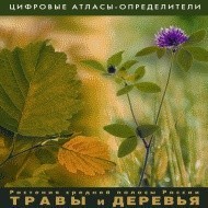 Растения средней полосы России "Травы и Деревья". (Цифровые атласы-определители) - fgospostavki.ru - Нижний Новгород