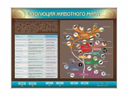 Интерактивный электрифицированный стенд "Эволюция животного мира" - fgospostavki.ru - Нижний Новгород