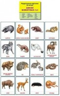 Раздаточные карточки "Дикие животные (1)" - fgospostavki.ru - Нижний Новгород