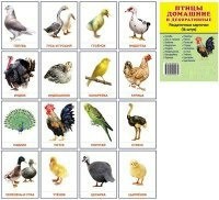 Раздаточные карточки "Птицы домашние и декоративные" - fgospostavki.ru - Нижний Новгород