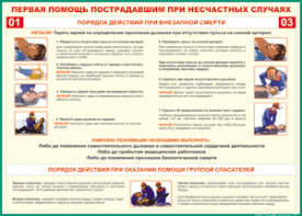 Таблица "Порядок действий при внезапной смерти" (100х140 сантиметров, винил) - fgospostavki.ru - Нижний Новгород