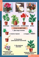 Комплект таблиц. Окружающий мир 1 класс. - fgospostavki.ru - Нижний Новгород