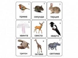 Набор магнитных карточек по музыке "Животные" (9 штук) - fgospostavki.ru - Нижний Новгород