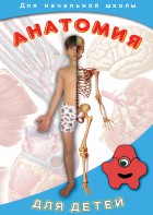DVD "Анатомия для детей" - fgospostavki.ru - Нижний Новгород