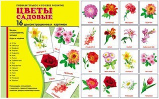 Демонстрационные карточки "Цветы садовые" - fgospostavki.ru - Нижний Новгород