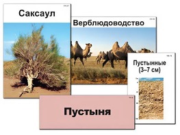 Модель-аппликация "Природные зоны России" (ламинированная) - fgospostavki.ru - Нижний Новгород