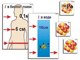 Модель-аппликация "Явление радиоактивности" (ламинированная) - fgospostavki.ru - Нижний Новгород