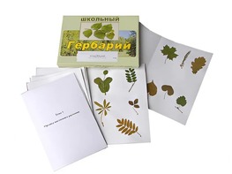 Гербарий "Морфология растений" (6 тем, 30 видов) - fgospostavki.ru - Нижний Новгород