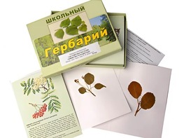Гербарий "Систематика растений. Семейство Розоцветные" (раздаточный) - fgospostavki.ru - Нижний Новгород