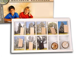 Коллекция "Древесные растения и их распространение" (раздаточная) - fgospostavki.ru - Нижний Новгород