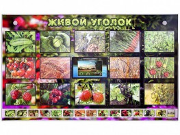 Комплект оборудования "Живой уголок" (растения) с тифлопереводом и сурдокомментариями - fgospostavki.ru - Нижний Новгород