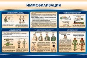 Стенд "Иммобилизация" - fgospostavki.ru - Нижний Новгород