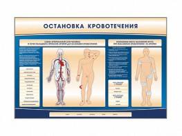Электрифицированный стенд-тренажер "Остановка кровотечения" - fgospostavki.ru - Нижний Новгород