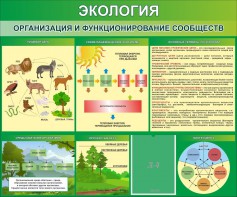 Стенд "Экология. Организация и функционирование сообществ" - fgospostavki.ru - Нижний Новгород