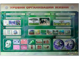 Электрифицированный стенд "Уровни организации жизни" - fgospostavki.ru - Нижний Новгород