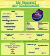 Стенд "От клетки до организма" - fgospostavki.ru - Нижний Новгород