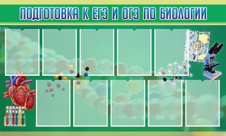 Стенд "Подготовка к ЕГЭ и ОГЭ по биологии" Вариант 2 - fgospostavki.ru - Нижний Новгород