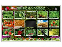 Комплект оборудования "Живой уголок" (растения) - fgospostavki.ru - Нижний Новгород