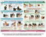 Комплект плакатов "Оказание первой доврачебной медицинской помощи" - fgospostavki.ru - Нижний Новгород