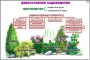Комплект кодотранспарантов "Культурные растения" - fgospostavki.ru - Нижний Новгород