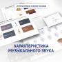 Слушание музыки. 1 класс. Характеристика музыкального звука - fgospostavki.ru - Нижний Новгород
